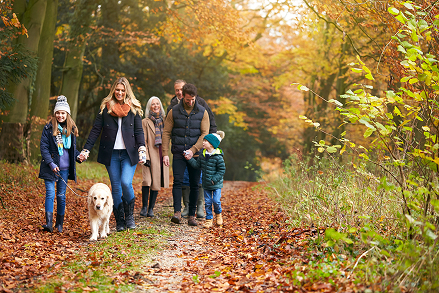 multi generational family walk the dog